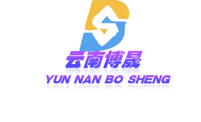 云南博晟項目管理咨詢有限公司